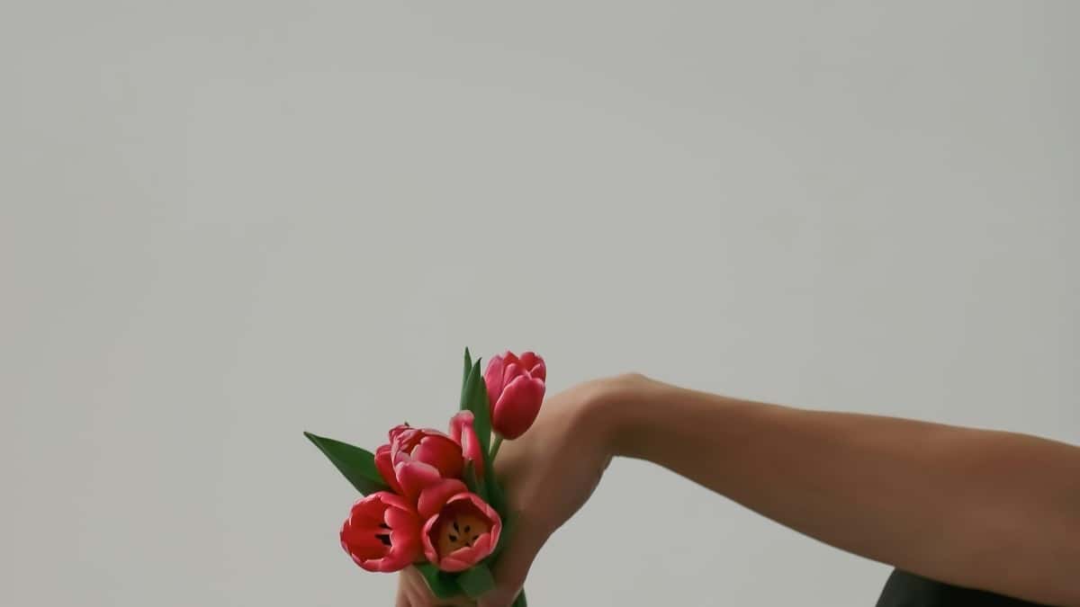 2025 Thailand Pinterest Influencer Ranking Fans Insights for UK Brands