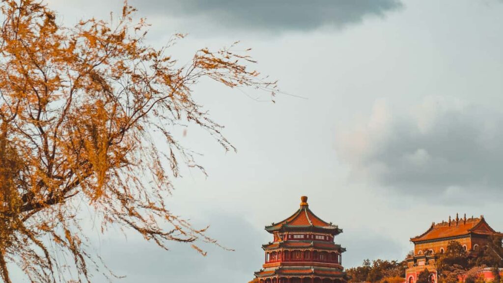 Discover the confirmed Bilibili promotional timeline in Bulgaria and what it means for UK brands diving into influencer marketing.
