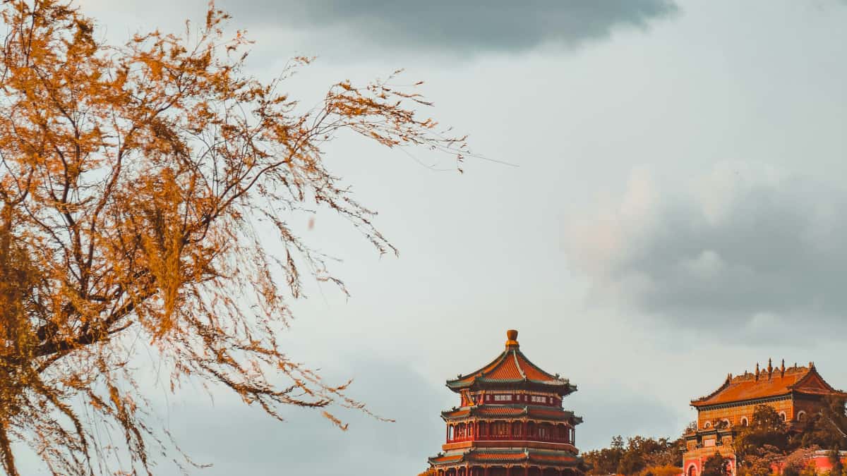 UK Advertisers: Nail Bilibili’s Bulgaria Promo Timeline & Boost Your Brand