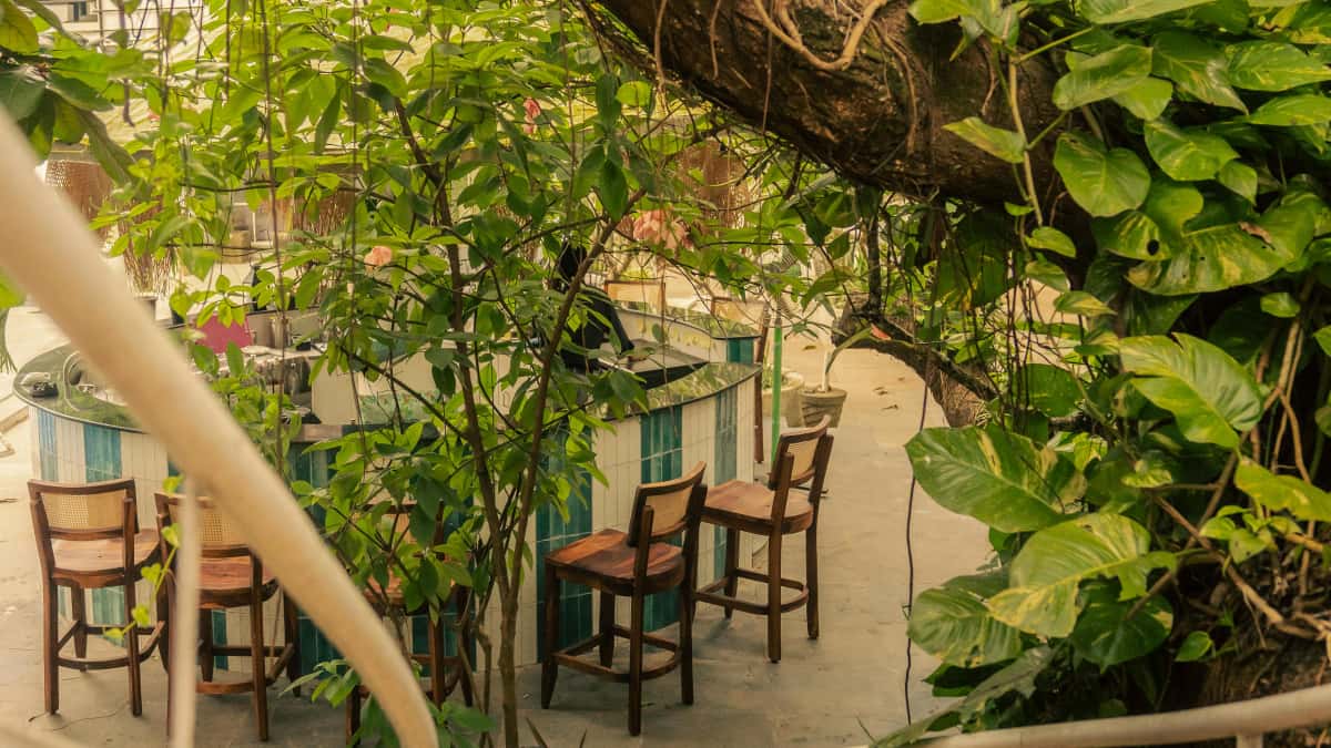 Finding Vietnam HBO Max Creators to Boost Your Seasonal Sales