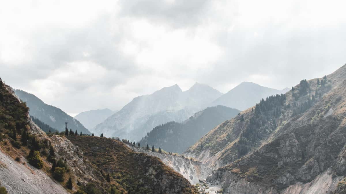 UK creators: Reach Pakistan Shopee brands & win deals