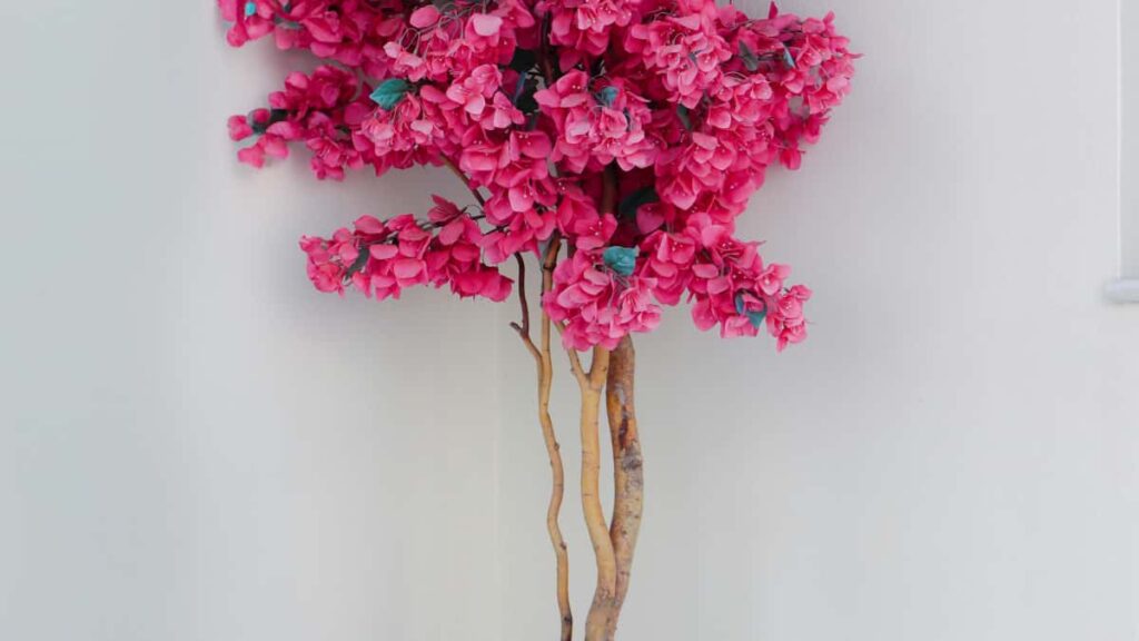 Practical playbook for UK advertisers to find and partner with Colombia-based HBO Max creators and top creators on product linesstep-by-step sourcing, outreach and partnership tips.