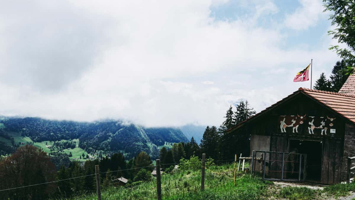Brands: find Germany Clubhouse creators to co‑create product lines
