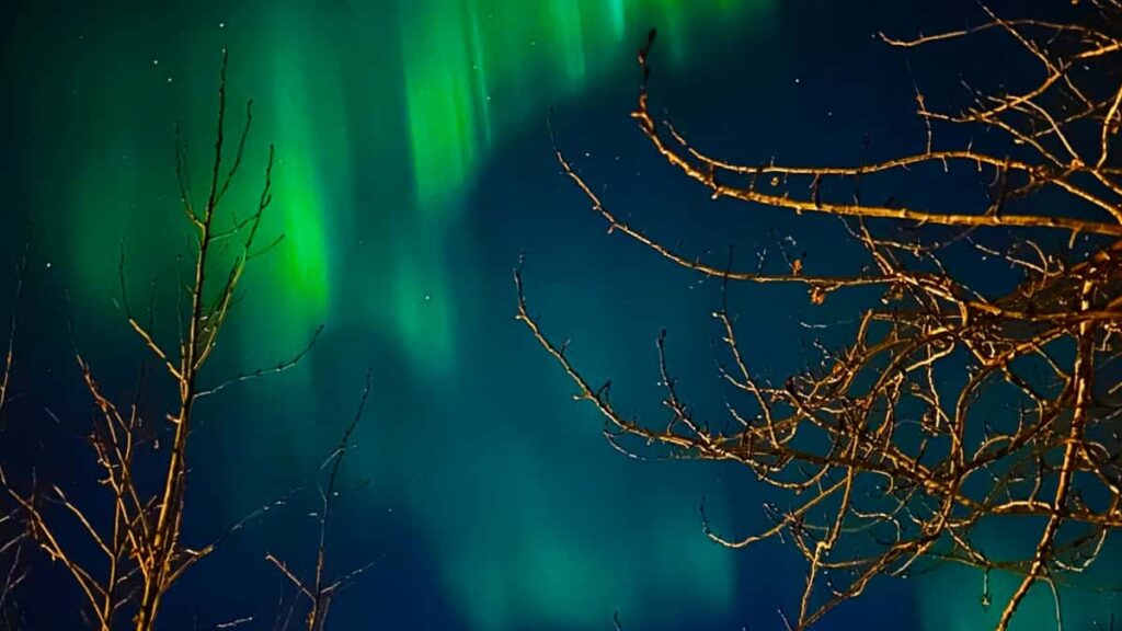 Practical guide for UK advertisers to locate Uzbekistan-based HBO Max creators, set up creator-driven product seeding and scale reach with platform tools and local tactics.