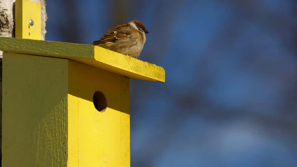 Practical guide for UK creators on contacting Qatar brands via Taobao, leveraging crossborder tools, shipping vouchers and local trends to win new audiences.