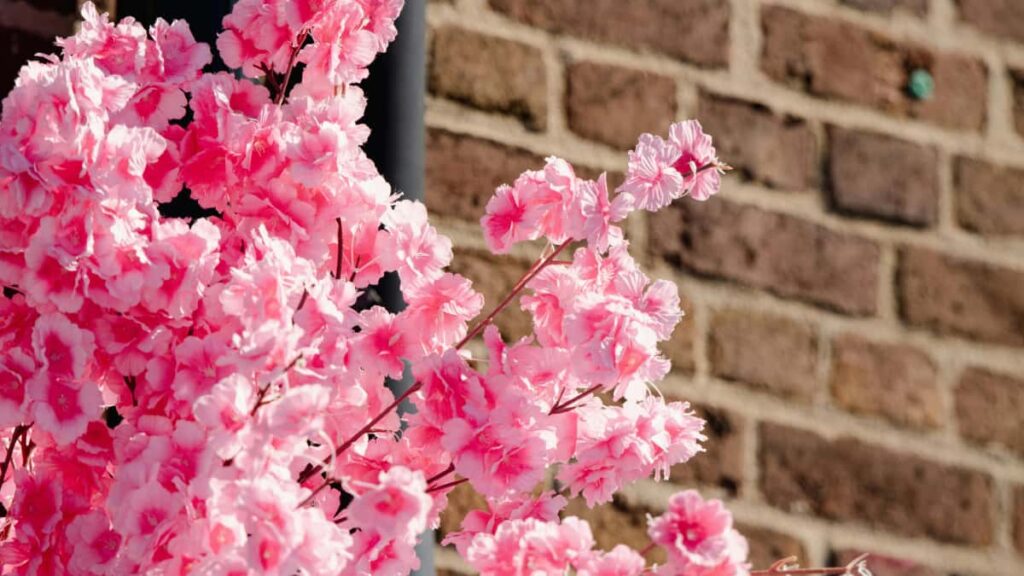 Practical guide for UK creators on pitching Serbian brands on TikTok for song reaction videos outreach templates, localisation tips and campaign pitfalls.