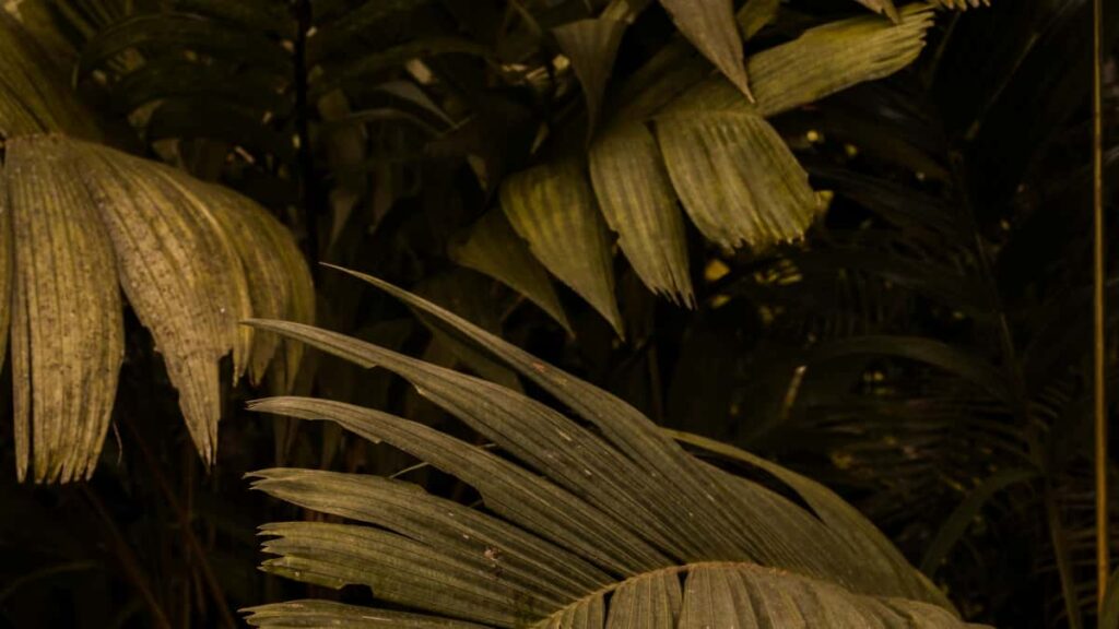 Practical guide for UK fitness creators on contacting Argentine brands via Chingari, using data-led content, outreach templates and a pitch-ready strategy.