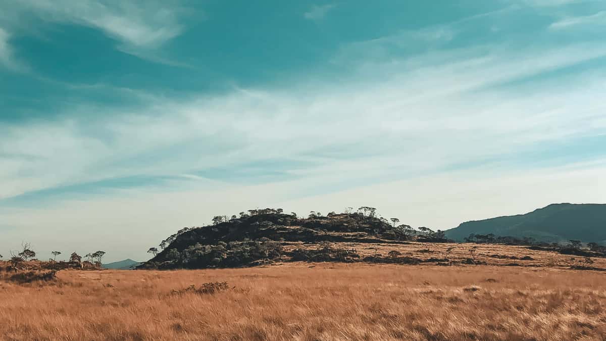 UK advertisers: find Armenia Josh creators fast