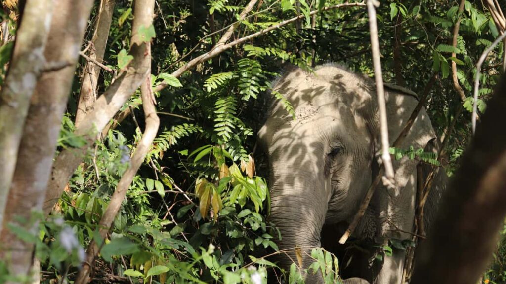 Practical guide for UK advertisers on locating Singapore WhatsApp creators to boost product visibility via creator exposure. Tactics, platforms, outreach templates and risk checks.