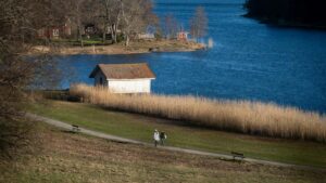 Practical guide for UK creators on contacting Argentina brands via Lazada, using LazMall integrations, crossborder flows, and influencer tactics to style outfits.