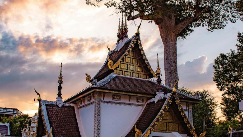 Practical guide for UK creators on contacting Colombia brands via Twitter for wellness campaigns outreach scripts, compliance tips, local trends and campaign-ready tactics.