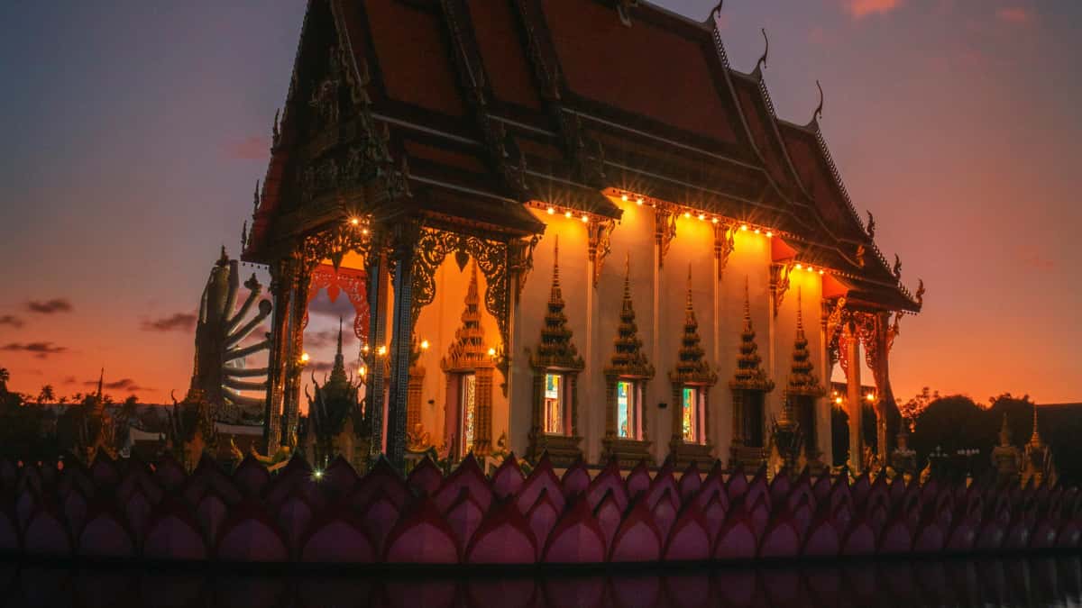 Creators: Reach Myanmar brands on Hulu — flat-fee wins