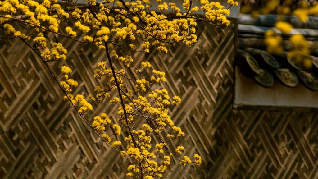 Practical playbook for UK creators to pitch Hungarian brands and tourism boards on Discord outreach templates, server tactics, monetisation ideas and legal tips.