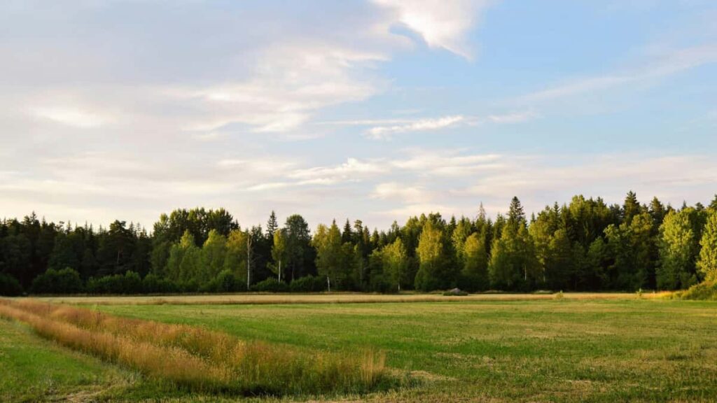 Practical tactics for UK creators to connect with United Kingdom brands on Moj and secure brand ambassador roles, with platform tips and outreach templates.