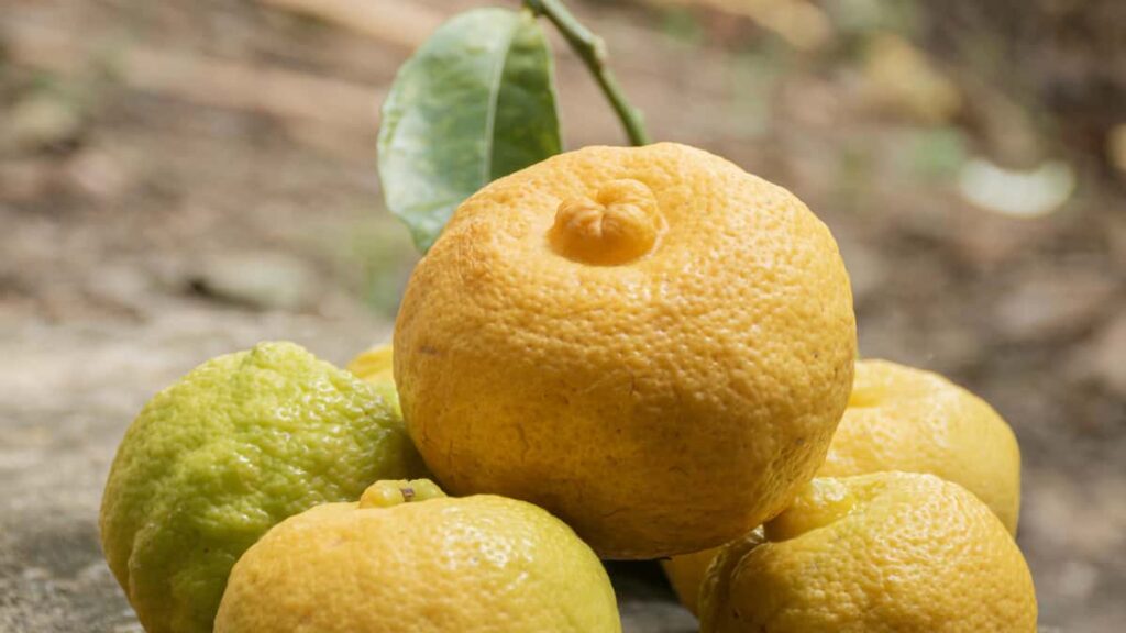 Practical guide for UK creators to find, contact and collaborate with Vietnamese Amazon sellers to build fashion lookbooks; tactics, outreach templates, and market context.