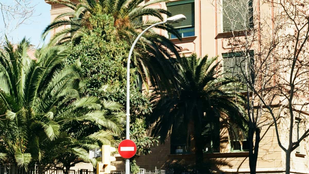 UK Advertisers: Find Cyprus Moj Creators Fast