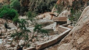 Practical guide for UK creators on finding, contacting and pitching Pakistan brands on Bilibili for long-form product reviews outreach scripts, platform tips and campaign dos and don'ts.