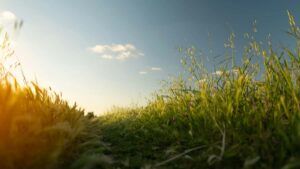 Practical guide for UK creators on finding and pitching Ivory Coast brands via vkontakte to showcase must-have products.